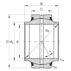 關(guān)節(jié)軸承 GE25-HO-2RS, 根據(jù) DIN ISO 12 240-1 標(biāo)準(zhǔn), 需維護，兩側(cè)唇密封